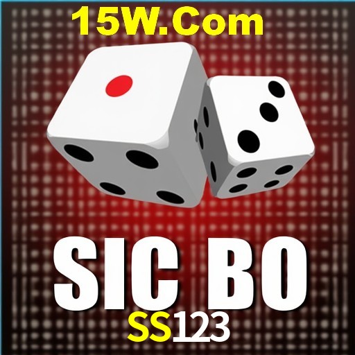 SS123 Rio de Janeiro - Bonus Terms
