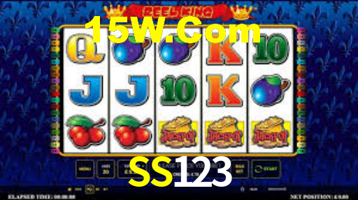 SS123